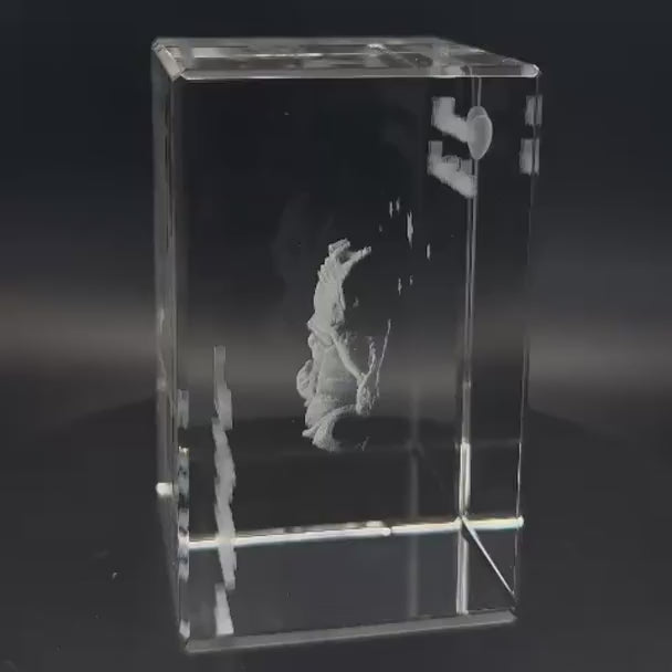 Video: personalisierte Kristall 3D Gravur Baby mit Foto auf rotierendem LED-Holzsockel