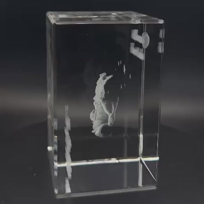 Video: personalisierte Kristall 3D Gravur Baby mit Foto auf rotierendem LED-Holzsockel